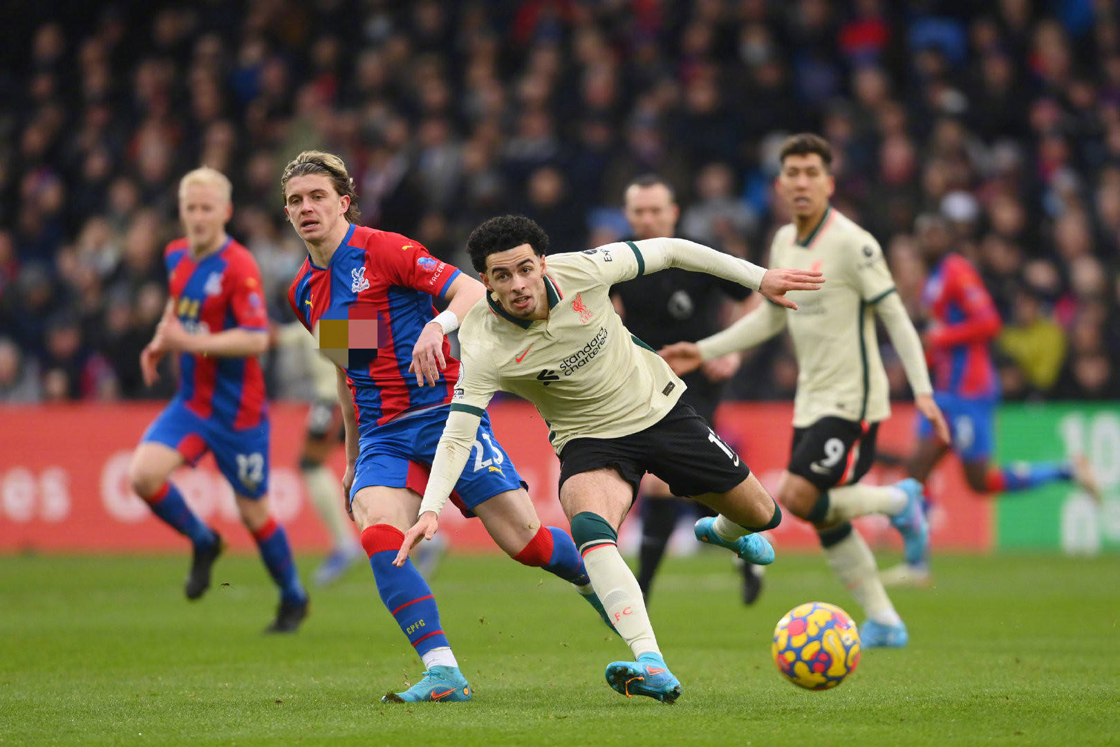 森林狼的场 森林狼的场