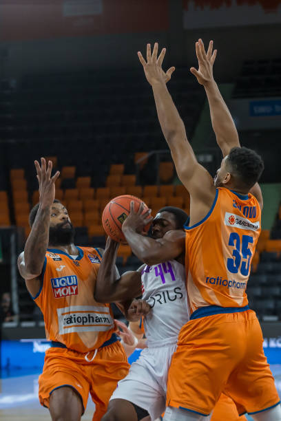 分方面独树 分方面独树