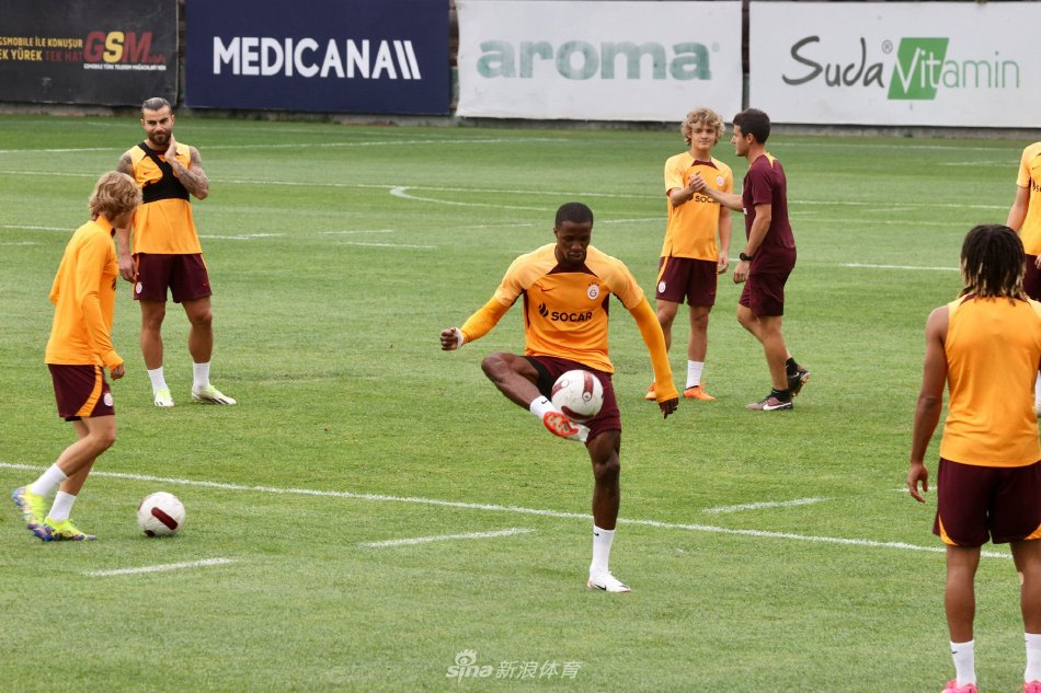 篇文章的资 篇文章的资